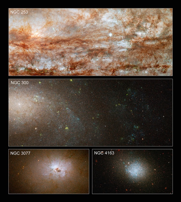 Equal Opportunity Galaxies Are All About Diversity